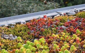 the cost of Towton green roof installation